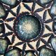 Vintage oyster dish St Jean de Bretagne