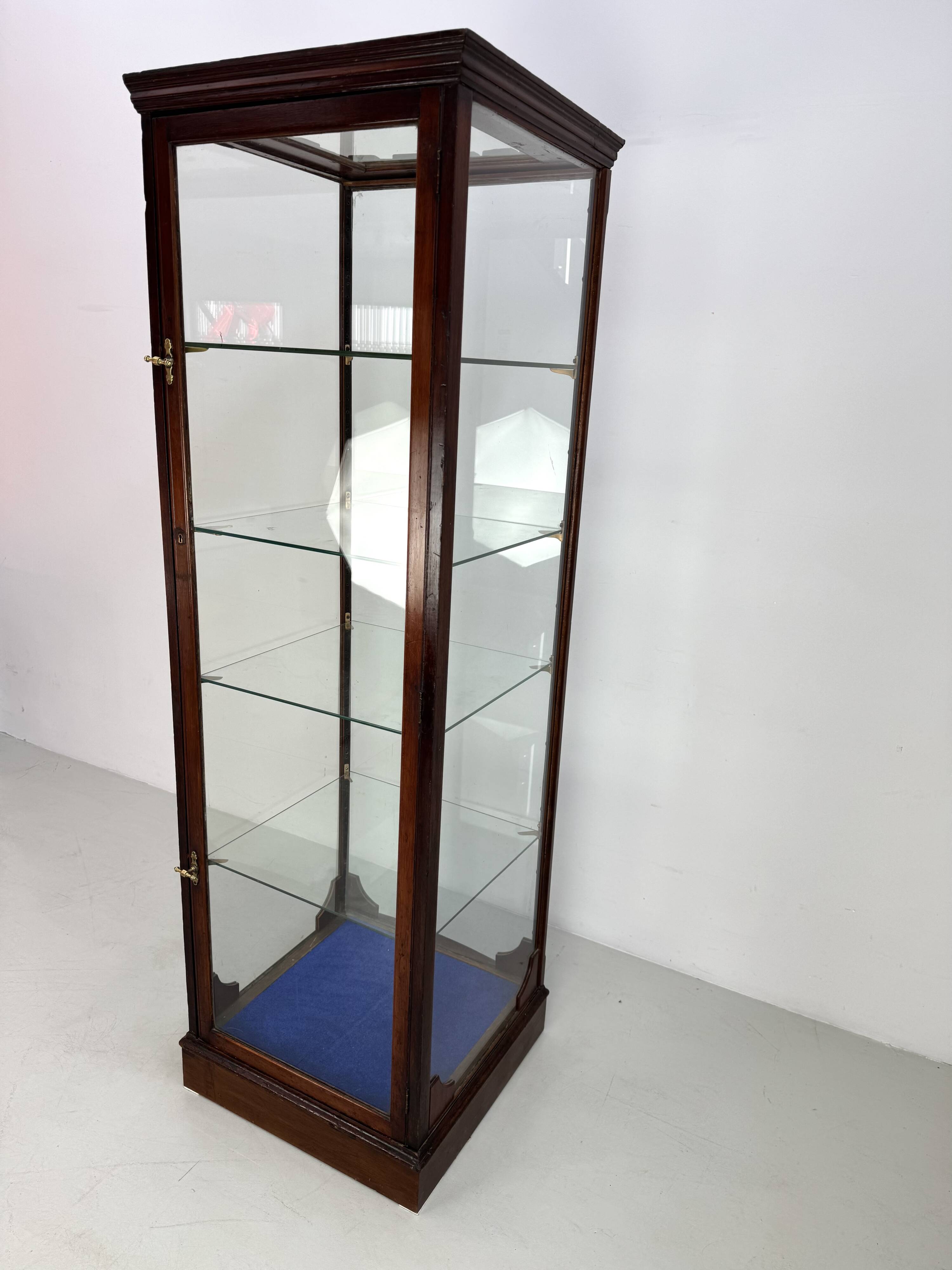 Beautiful mahogany museum display cabinet from England, circa 1925.