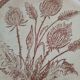 Pair of vintage plates with rusty brown thistle decoration – 1950s