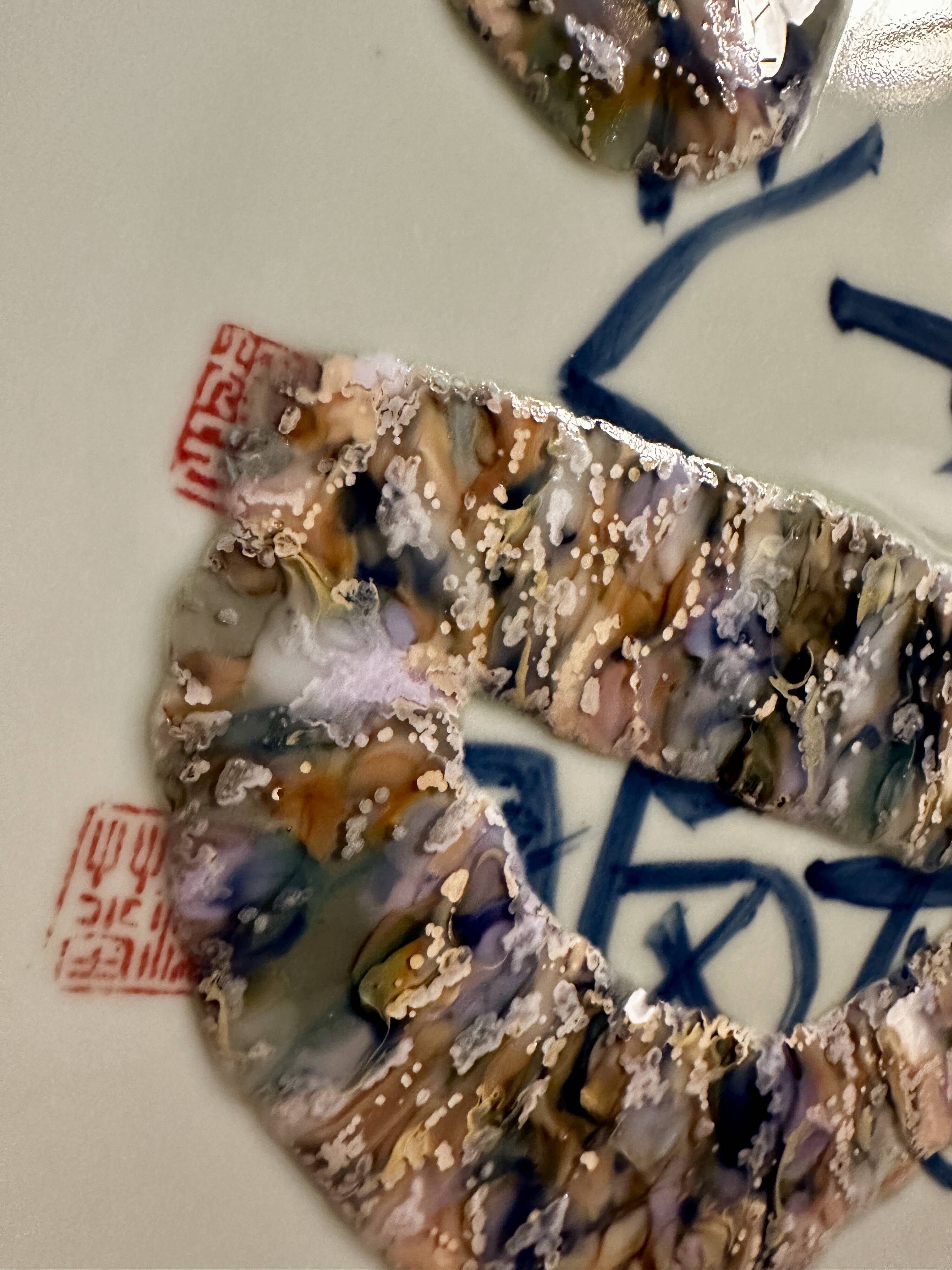 Plates by Attua Aparicio Torinos