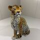 Large Italian ceramic leopard 1970’s