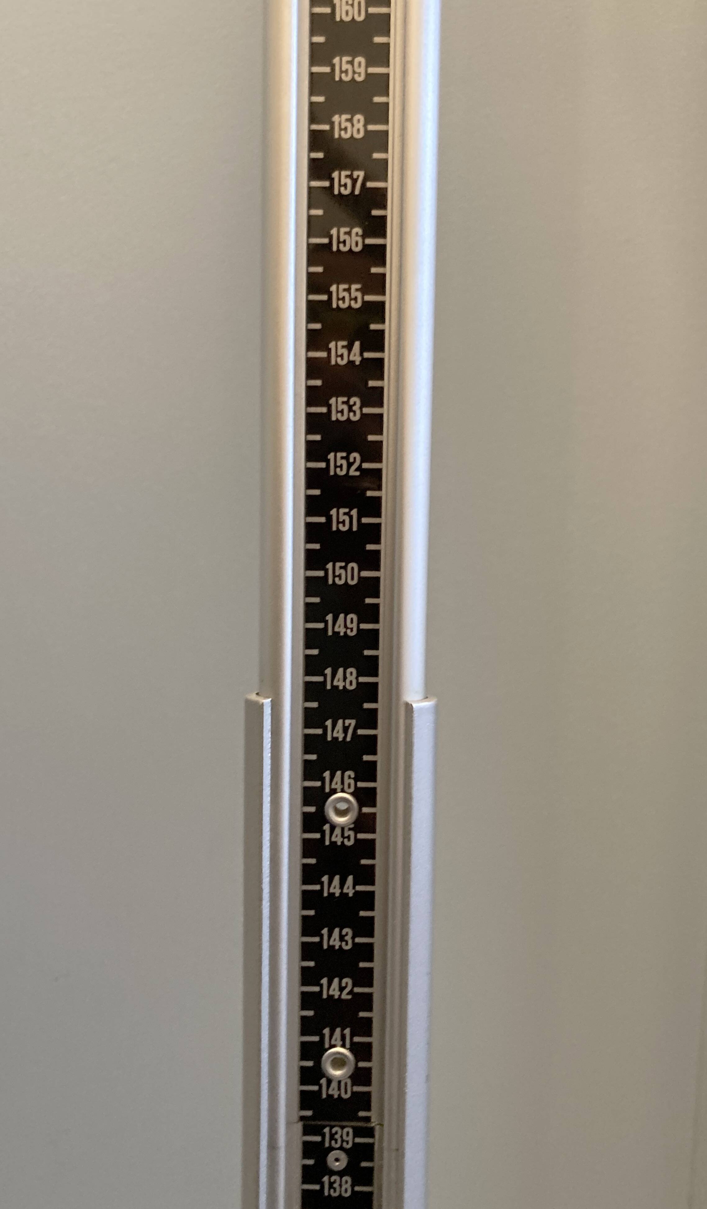 Personal scale and medicine measuring rod