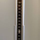 Personal scale and medicine measuring rod