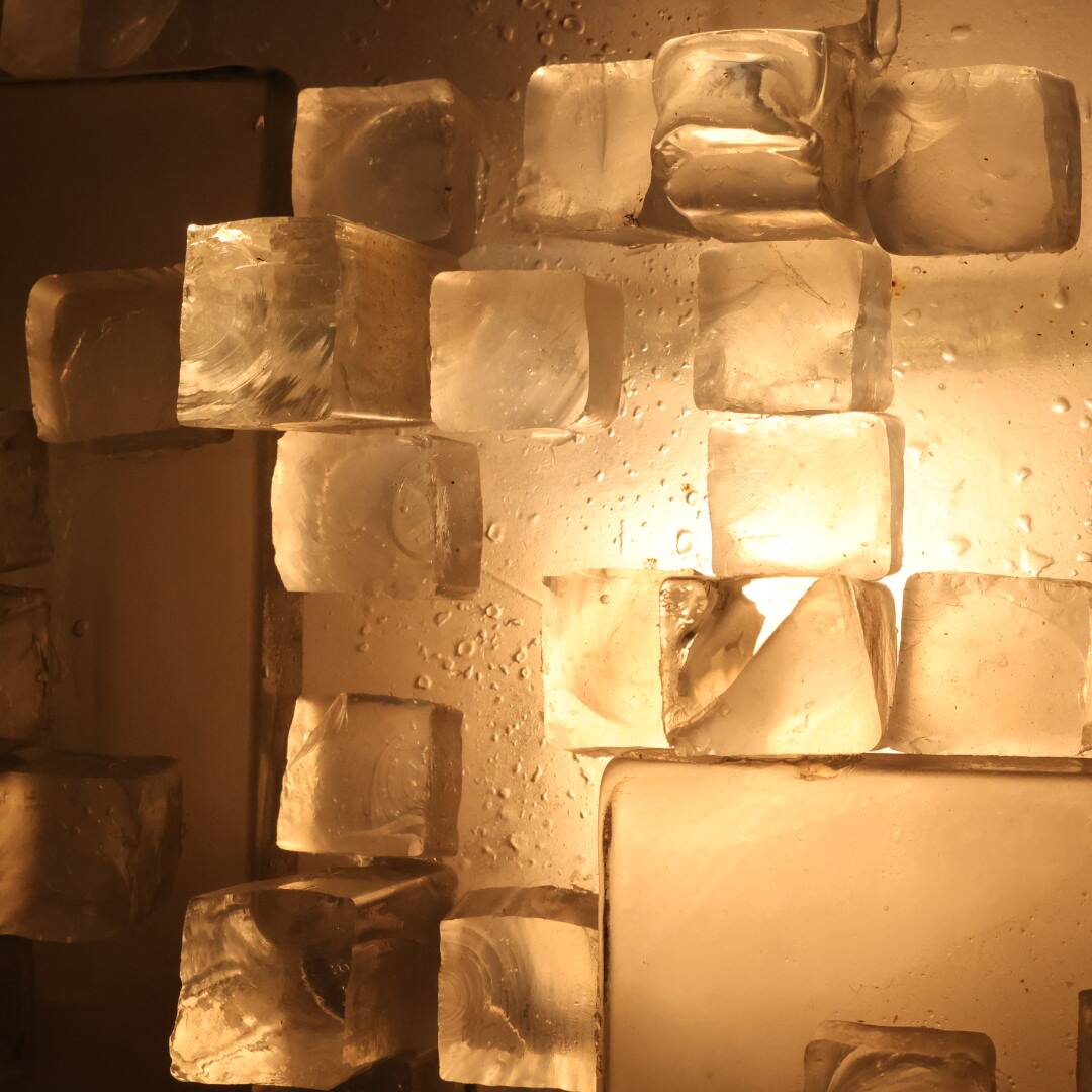 Wall Lamp Poliarte Model Pavo Albano Poli Design 1970