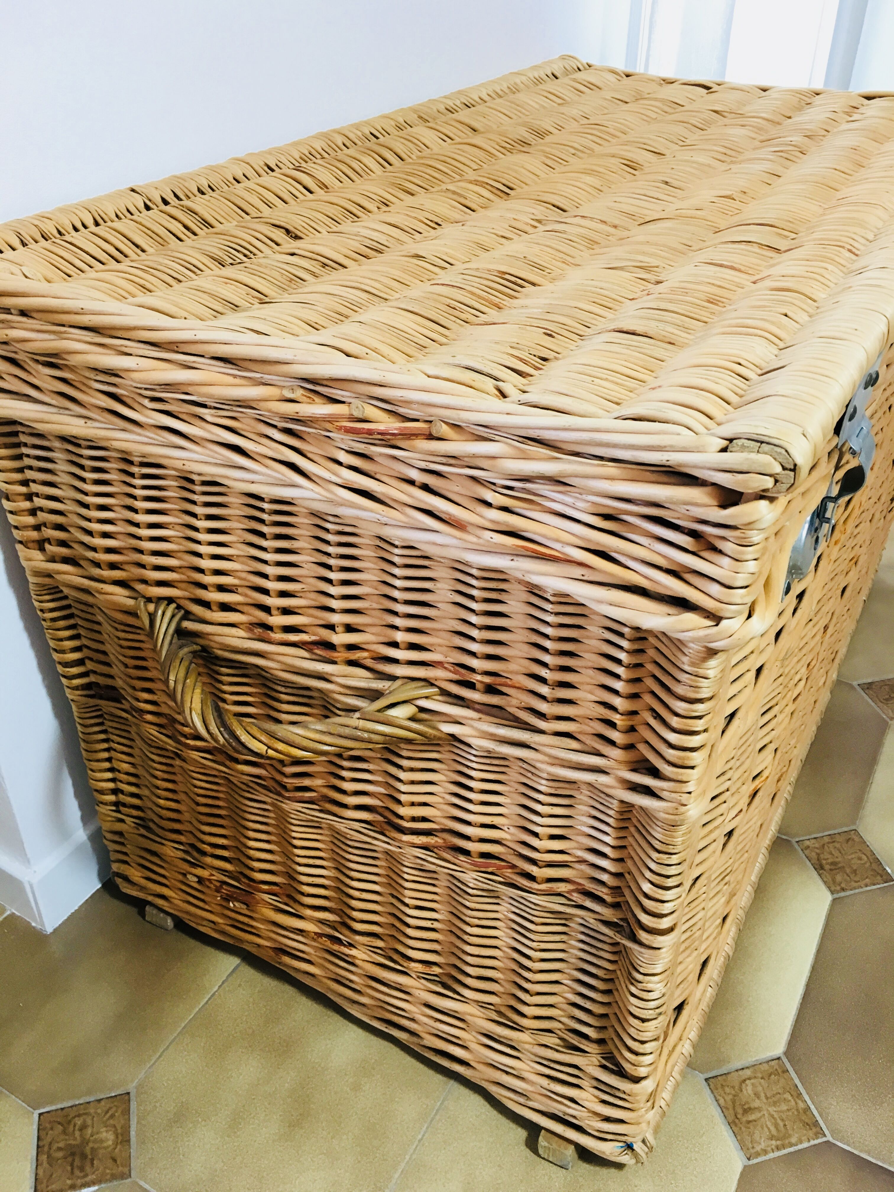Wicker trunk