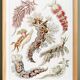 Poster about sea slugs, based on an old lithograph from 1904.