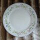 9 dinner plates English Garden