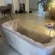 Vintage rose purple velvet sofa