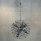 2x vintage Sputnik 'Dandelion' pendant lamp