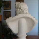 Plaster bust in the antique Apollo of the Belvedere, 70 cm