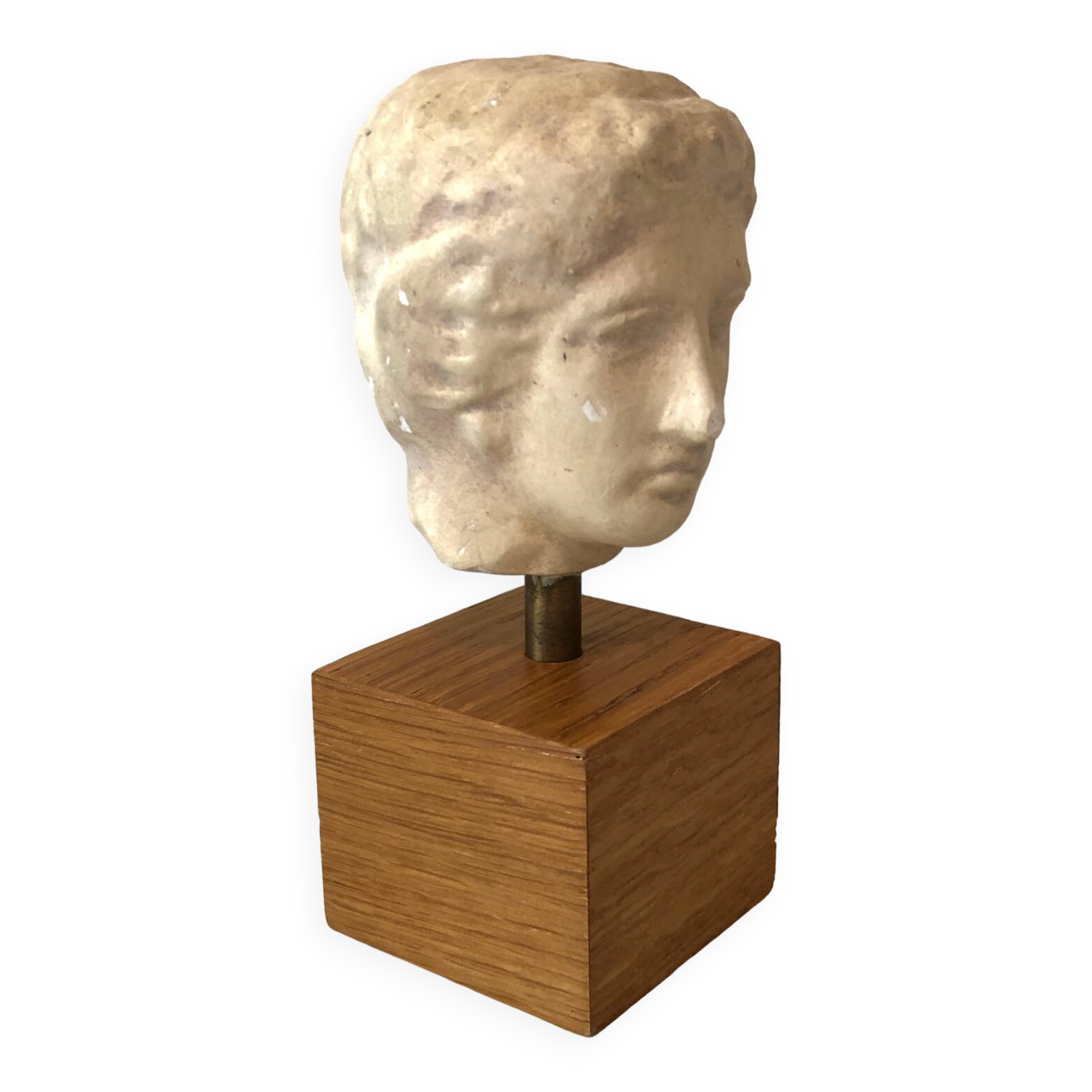 Plaster Head Greek Man
