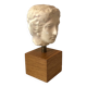 Plaster Head Greek Man