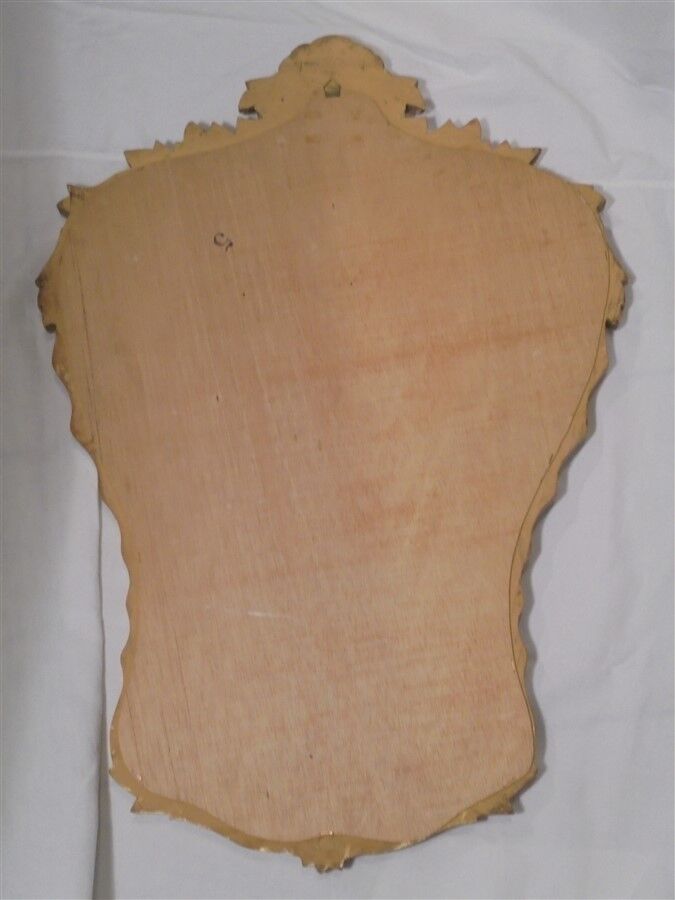 Mirror rococo 87 x 60 cm