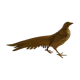 Pheasant golden brass