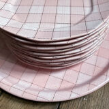 Set of 10 plates and 1 dish