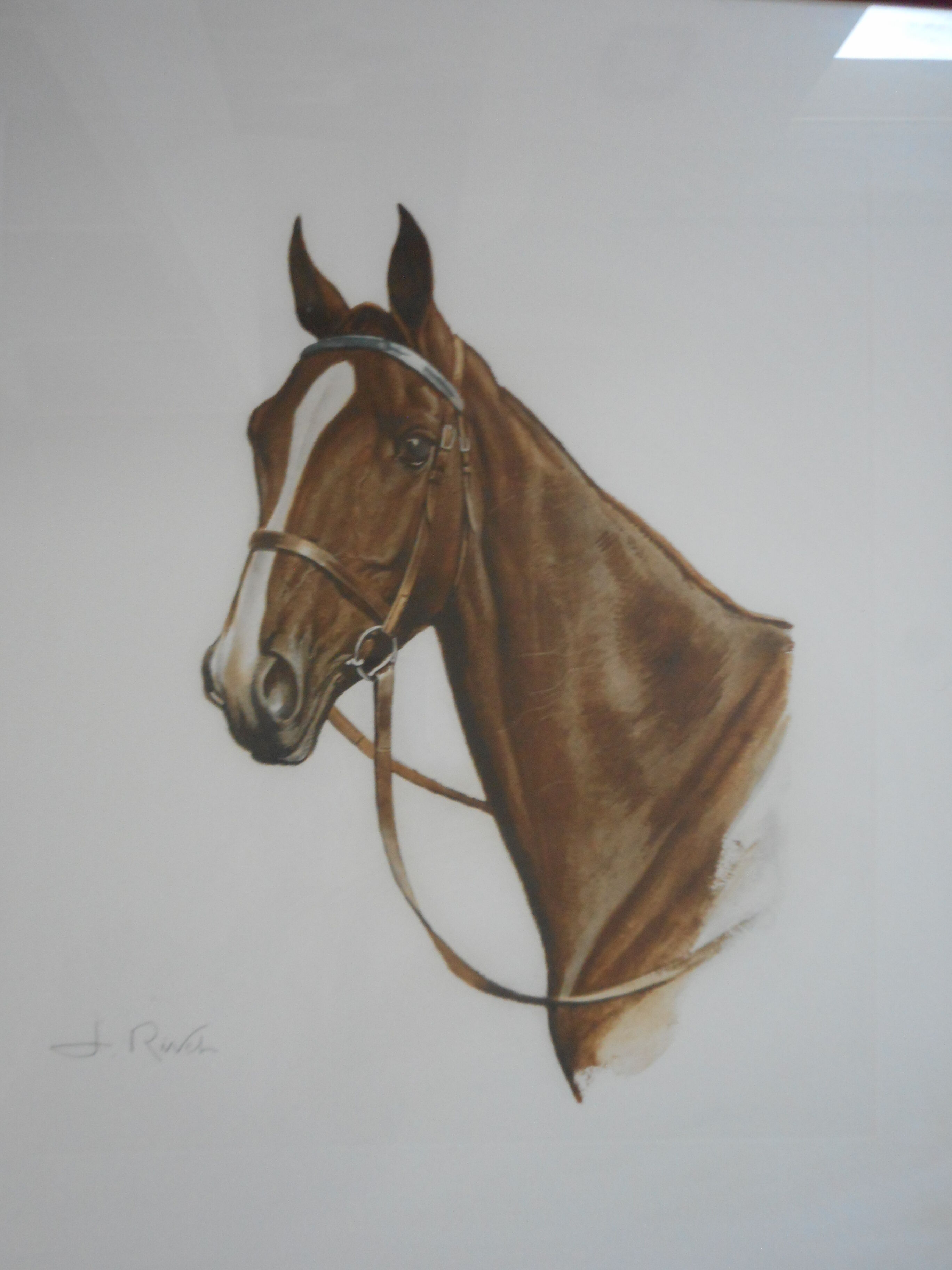 Portrait of a horse lithograph by jean rivet