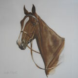 Portrait of a horse lithograph by jean rivet