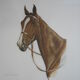 Portrait de cheval lithographie de jean rivet
