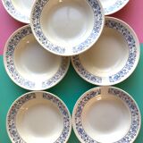 Hollow plate in faience pattern vintage blue bird j.v liex