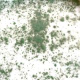 Set of two speckled porcelain plates