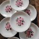 Gien dinner plates – painted roses – 1960s – set of 8 – ø 24 cm