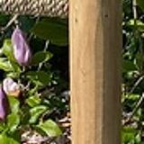 High wood and rope stool