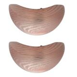 Pink Murano Glass Duna Sconces