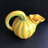 Pitcher melon - Longchamp - France