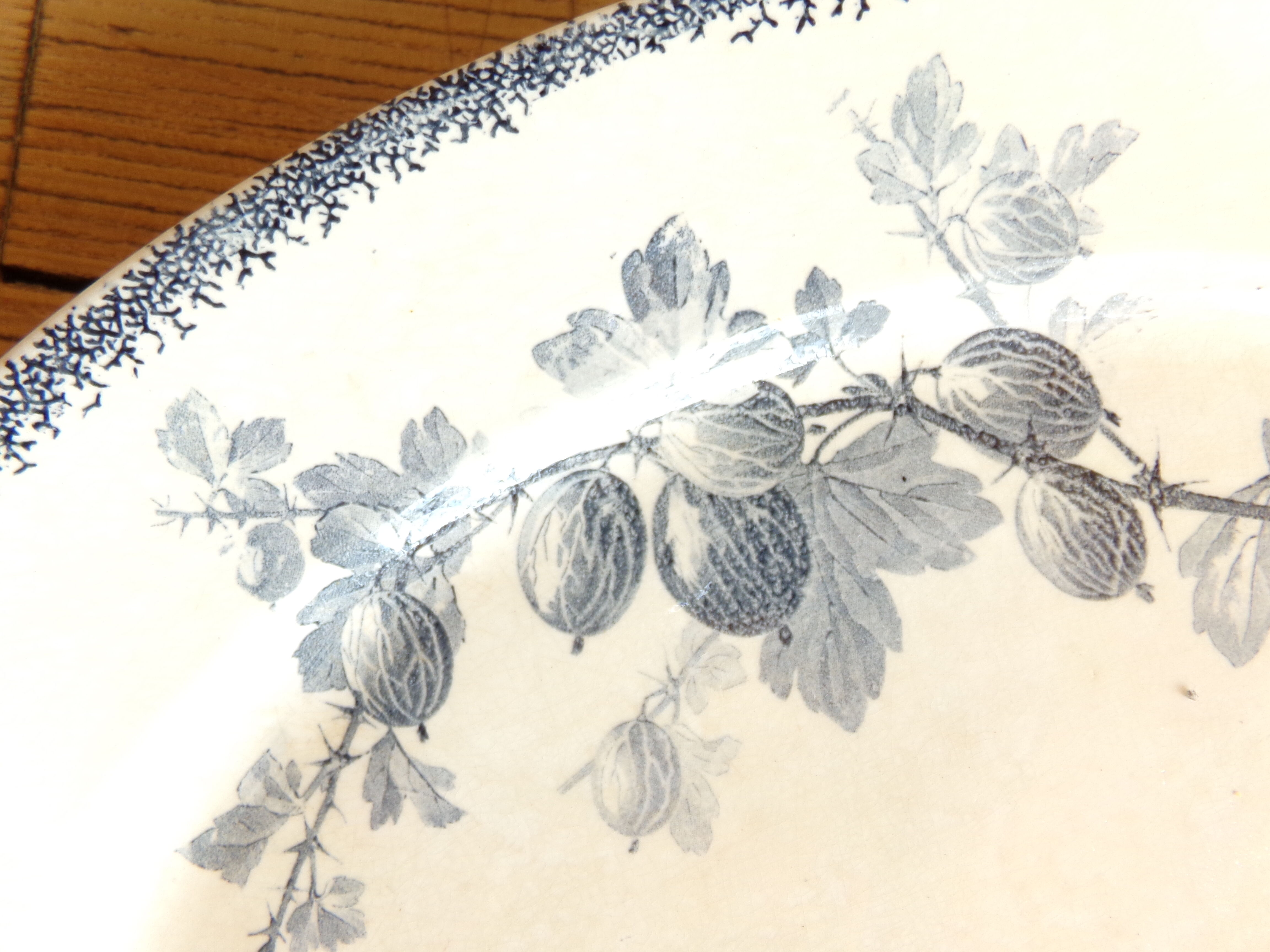 Oval dish U&Cie Sarreguemines model "currants"