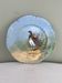 Antique decorative plate