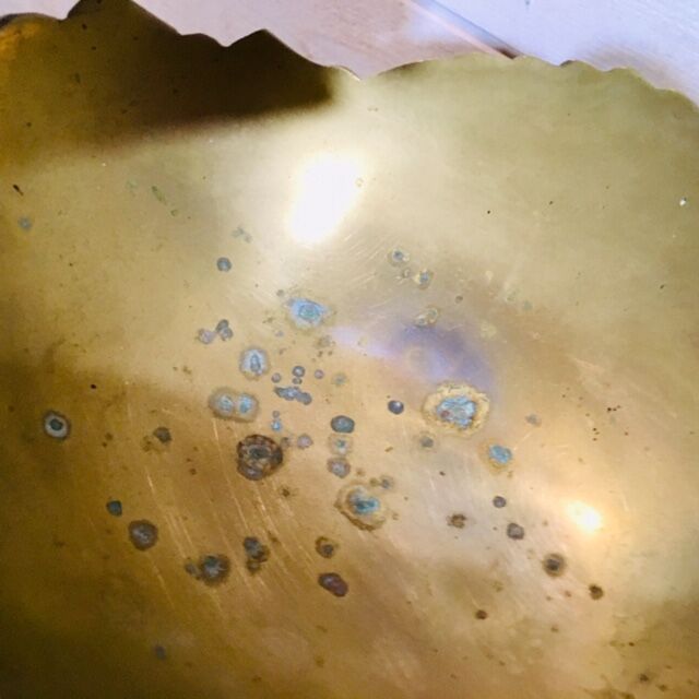 Empty Pocket brass Swan