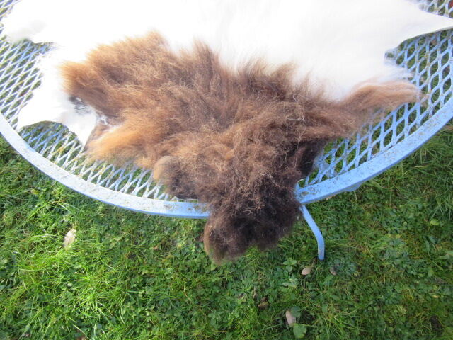 Sheepskin
