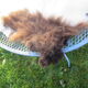 Sheepskin