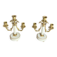 Pair of bronze and marble candelabra, France, 19th century