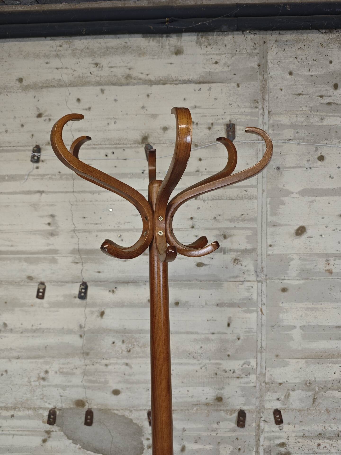 Porte manteau perroquet Baumann 