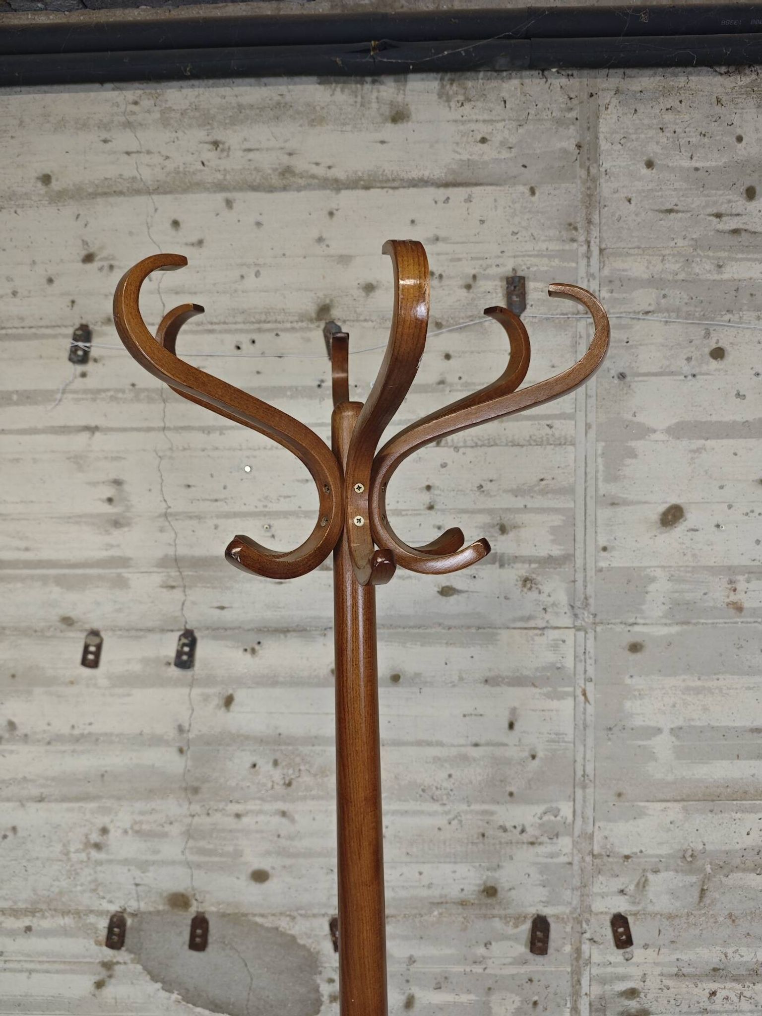 Porte manteau perroquet Baumann 