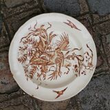 Sepia-colored dish, Congo Longchamp model