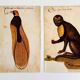 Impressions of the natural history of the Renaissance, pair of facsimiles of the Codex Pomar, 1990s.