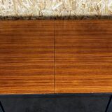 Wilhelm Renz dining folding table