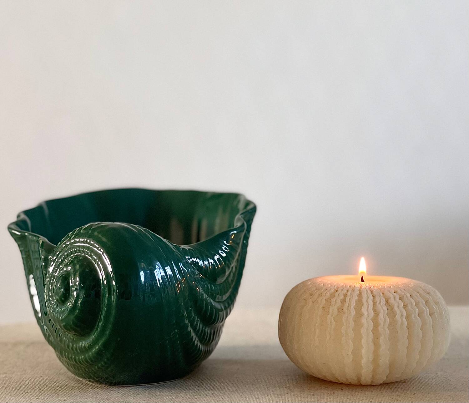 Cachepot, shell vase