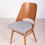 Model lollipop dining chairs from Tatra, 1960