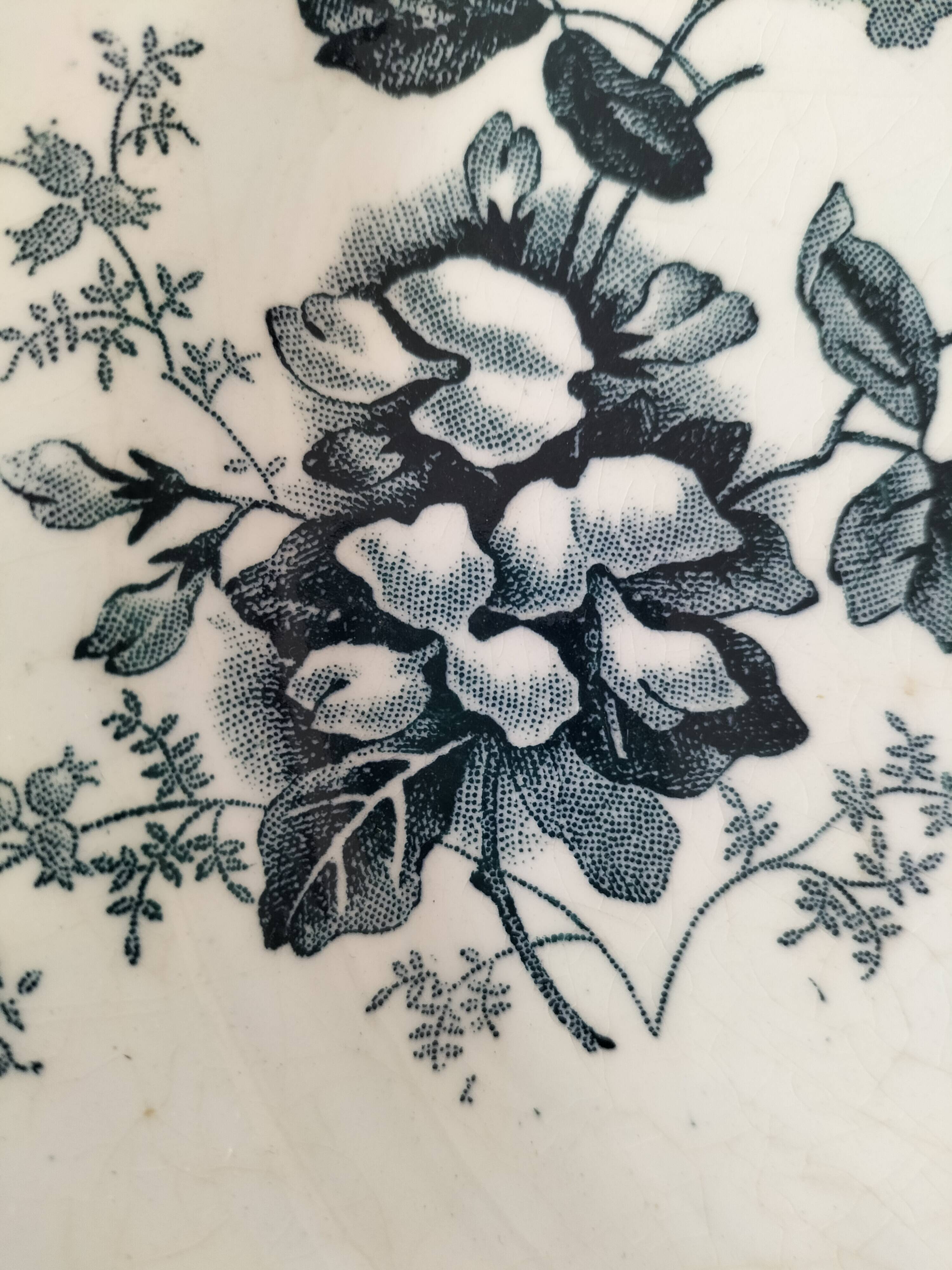 Set of 10 ironstone plates Moulin des Loups Acacia