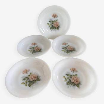 Set of 5 Rose De France plates