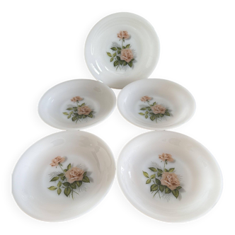 Lot de 5 assiettes Rose De France