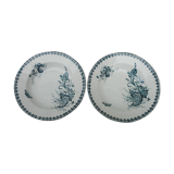 Two hollow plates made of earthenware