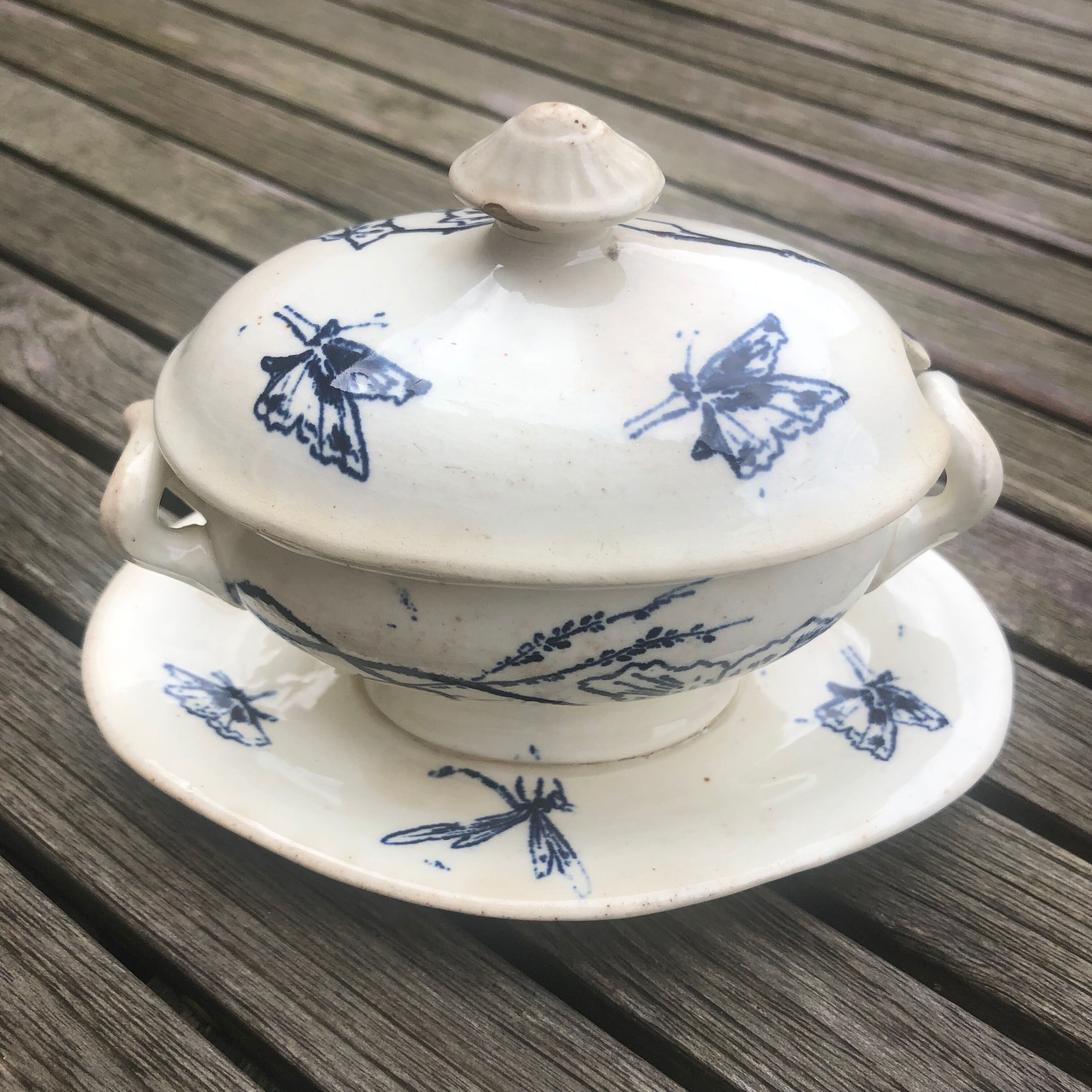 Safe mustard tree sleeping earthenware