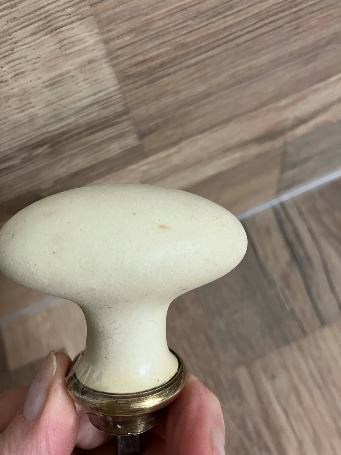 Antique beige porcelain door handle