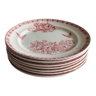 Assiettes anciennes dépareillées