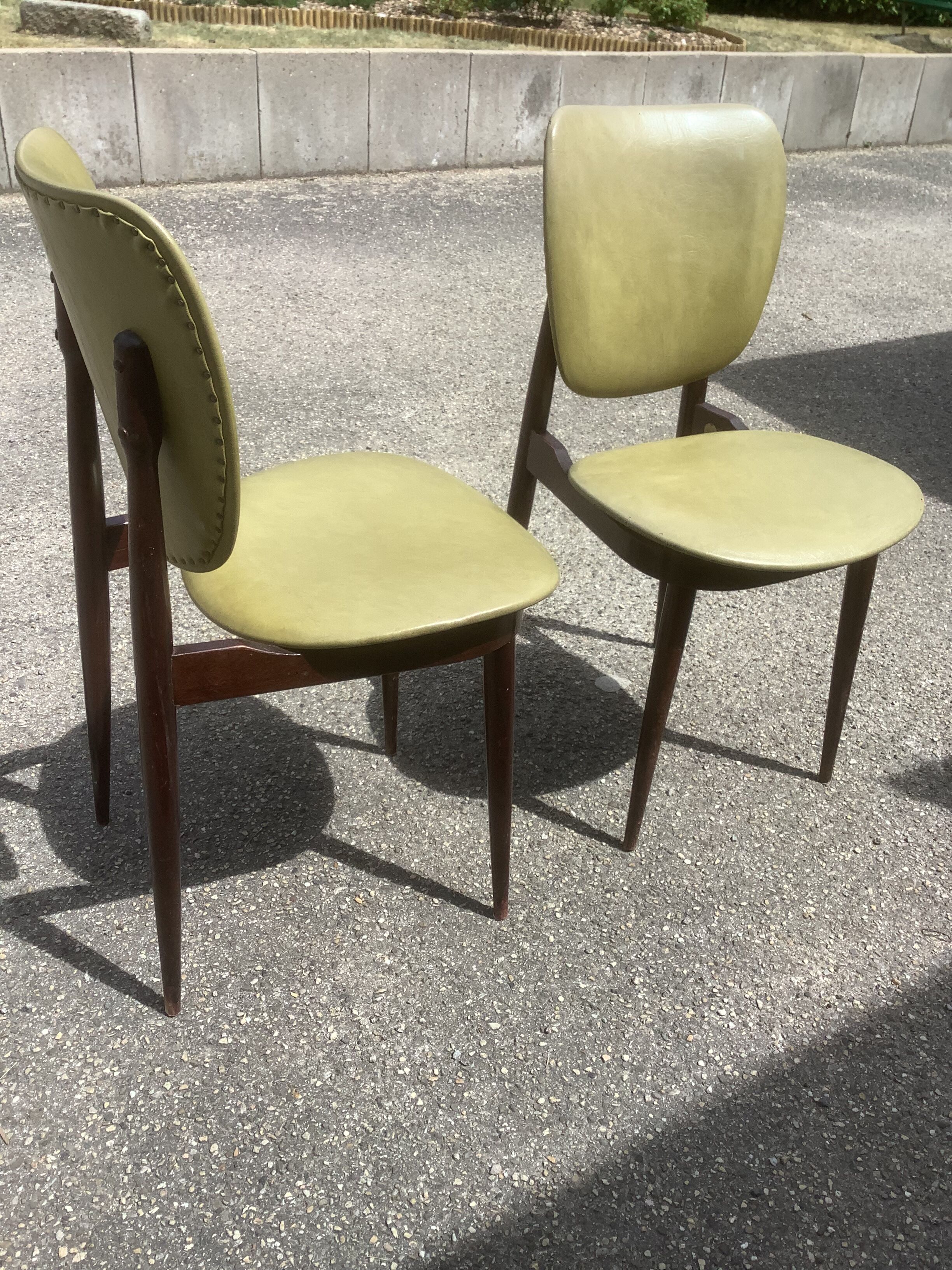 Chairs Pégase Baumann