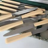 12 dessert knives in a case
